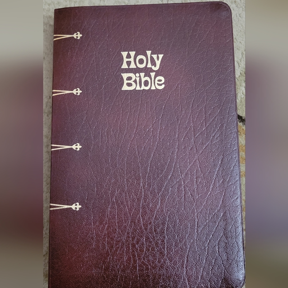 New American Bible Gift and Study Bible NIB - Picture 2 of 6